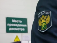 ФТС расширяет сотрудничество с ЕАЭС, СНГ, КНР, Индией, Ираном fts rasshiryaet sotrudnichestvo s eaes sng knr indiej iranom-lavi-su-0