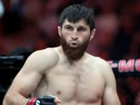 magomed ankalaev i umar nurmagomedov gotovyatsya k yarkim boyam v abudabi-lavi-su-0