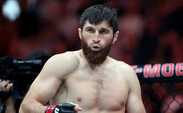 Магомед Анкалаев (Sean M. Haffey / Getty Images)