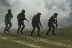 0dd665b5-709a-4c92-bfd1-35d811a808b7-674ee243 - signaldaily