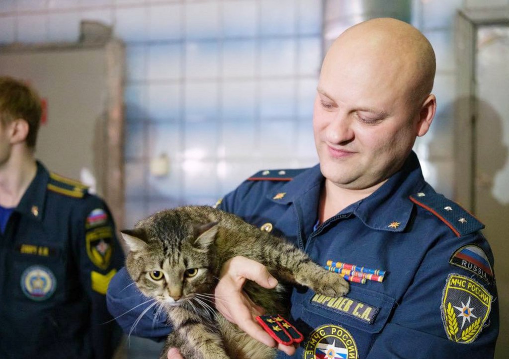 Коту Толику из отряда #Семенычи вручили первое специальное звание