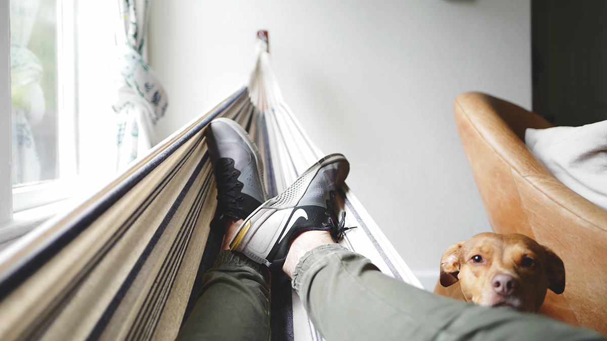 Праздники 29 января