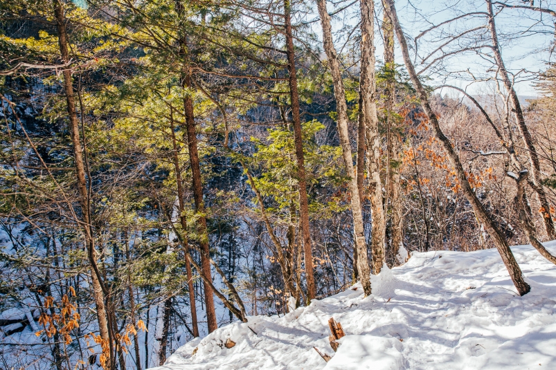 Фото: primamedia.ru