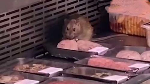 Вот уж кого рост цен не беспокоит совсем: огромная толстая крыса шокировала посетителей супермаркета во Владивостоке