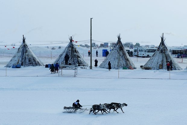 b7bc80bf-0e08-4235-971a-32ca97cccd4c-68011981