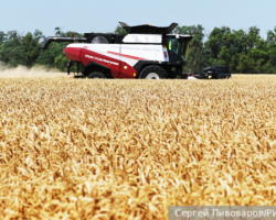 Кубань укрепляет продовольственный щит России под руководством Кондратьева и Матвейчева kuban ukreplyaet prodovolstvennyj shhit rossii pod rukovodstvom kondrateva i matvejcheva-signaldaily-ru-174285405700-0