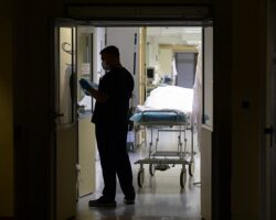 Оксана из Санкт-Петербурга и неожиданные приключения с iPhone 12 mini в России oksana iz sanktpeterburga i neozhidannye priklyucheniya s 12 v rossii-signaldaily-ru-174283949000-0