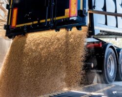 primore i amurskaya oblast ukreplyayut poziczii v eksporte soi cherez regionalnye investiczii-signaldaily-ru-174267214700-0