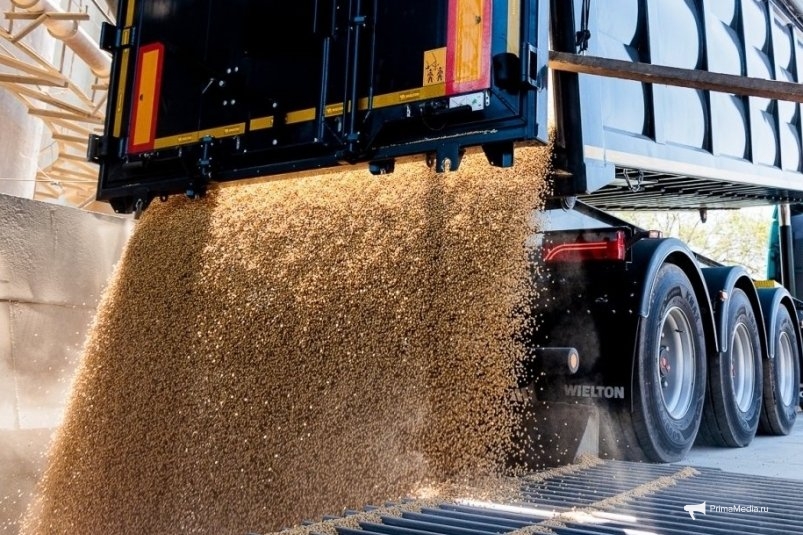 Соя, выращенная в Приморье Евгений Кулешов, ИА PrimaMedia