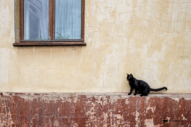 Фото: primamedia.ru