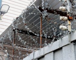 Сотрудники УМВД Приморья и Росгвардии пресекли доставку наркотиков в колонию sotrudniki umvd primorya i rosgvardii presekli dostavku narkotikov v koloniyu-signaldaily-ru-174301160200-0
