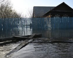 Старосубханкулово и Нижние Лемезы фиксируют активные изменения уровня реки Белой starosubhankulovo i nizhnie lemezy fiksiruyut aktivnye izmeneniya urovnya reki beloj-signaldaily-ru-174241320500-0