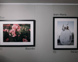 syurrealisticheskie shedevry man rej i kertesa v moskovskoj galeree lyumer-signaldaily-ru-174282807200-0