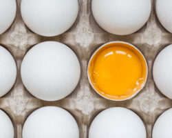 ChickenEggIsHalfBrokenAmongOtherEggs