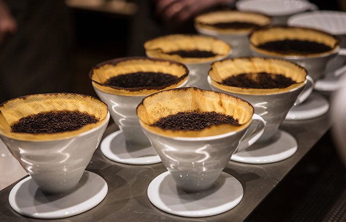 Что произошло в мире науки. Вечерний дайджест