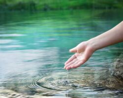 Инновационные мембраны Йована Камчева и Мичиганского университета innovaczionnye membrany jovana kamcheva i michiganskogo universiteta-signaldaily-ru-174484752000-0