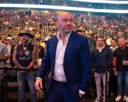 Кирилл Дмитриев и UFC возрождают турниры в России с поддержкой РФПИ kirill dmitriev i vozrozhdayut turniry v rossii s podderzhkoj rfpi-signaldaily-ru-174576389700-0