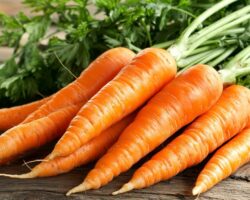 Людмила Лапа открыла правду о моркови и ее роли для здоровья глаз lyudmila lapa otkryla pravdu o morkovi i ee roli dlya zdorovya glaz-signaldaily-ru-174403060500-0