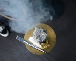 Ольга Гусева и Наталья Васильева о скрытых угрозах кальяна и важности профилактики olga guseva i natalya vasileva o skrytyh ugrozah kalyana i vazhnosti profilaktiki-signaldaily-ru-174359851300-0