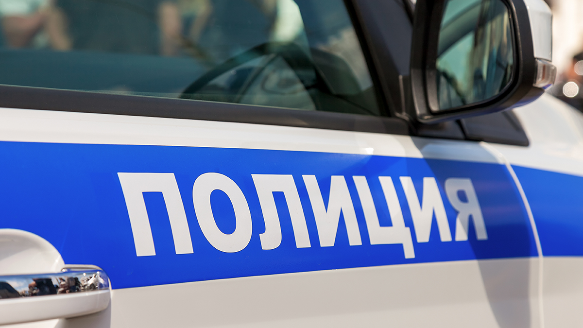 Полиция задержала мошенницу, укравшую у жительницы Подмосковья восемь миллионов
