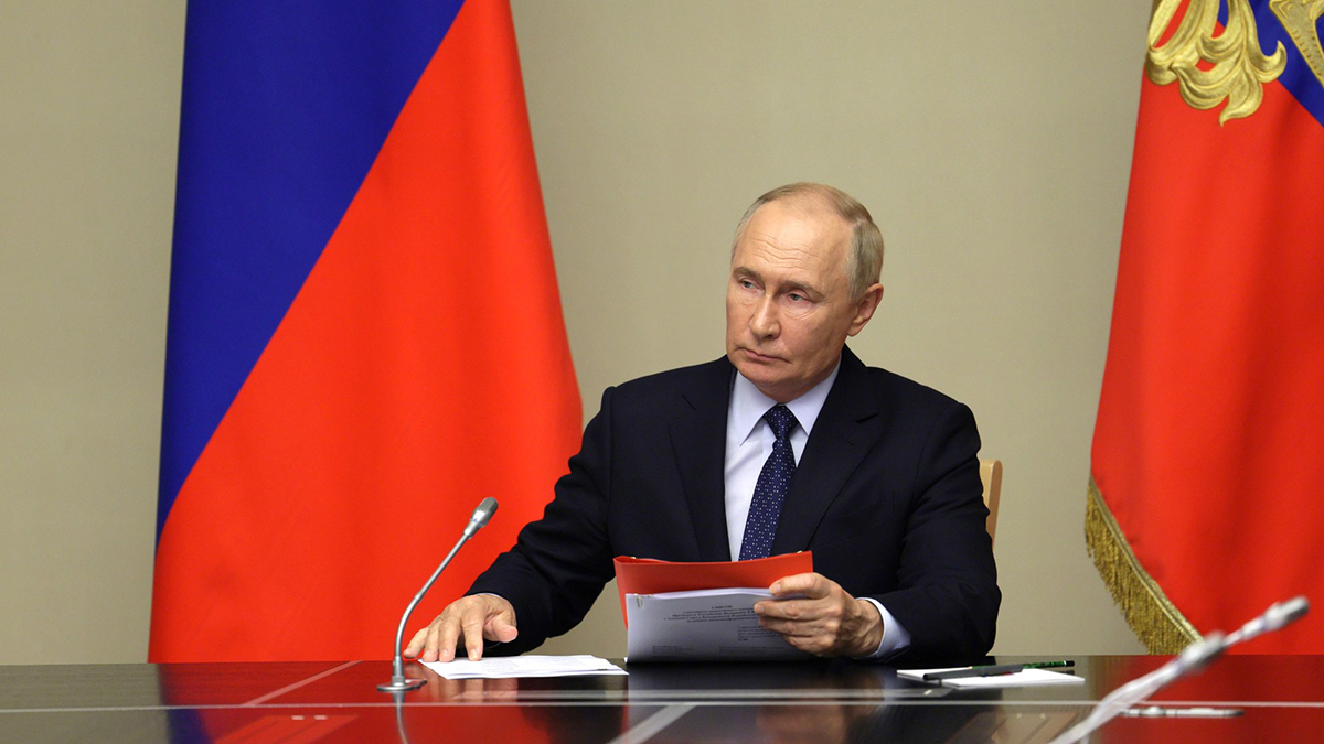 Путин открыл три новых объекта лесной промышленности