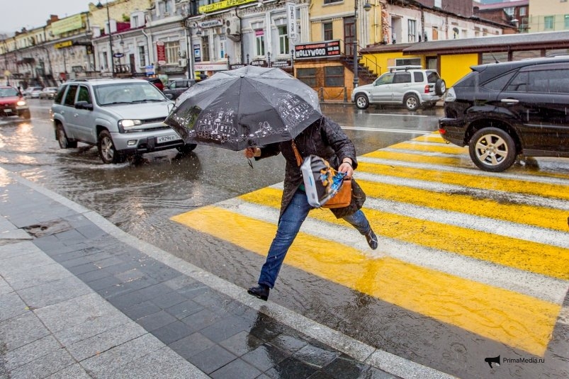 Фото: primamedia.ru