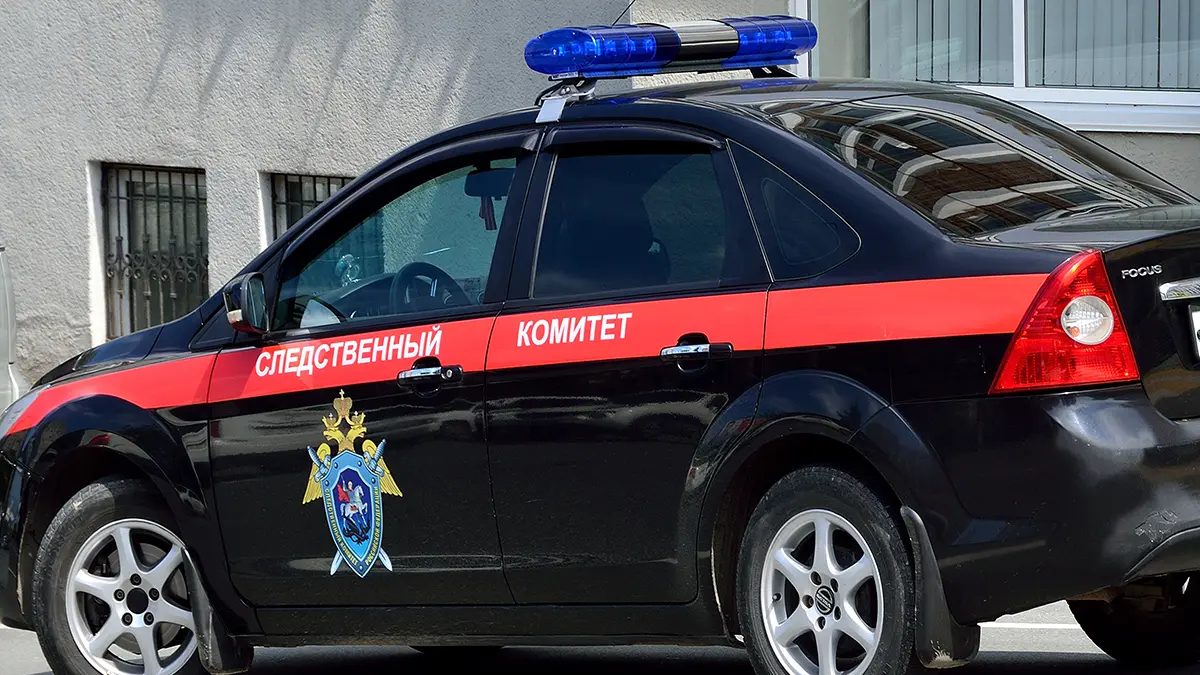 СК возбудил дело после попытки мигранта изнасиловать девочку в Подольске