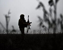 gosduma raskryla detali mirnoj inicziativy s uchetom putina i zelenskogo-signaldaily-ru-174694813400-0