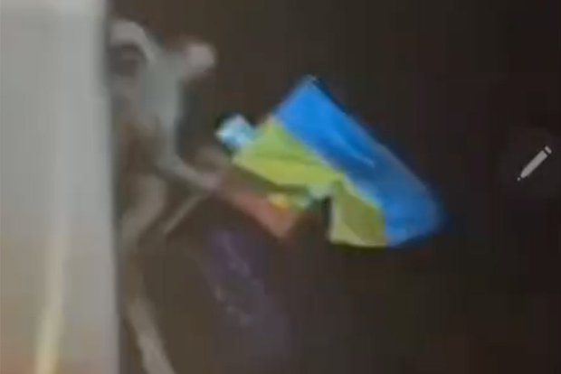 Вводная картинка