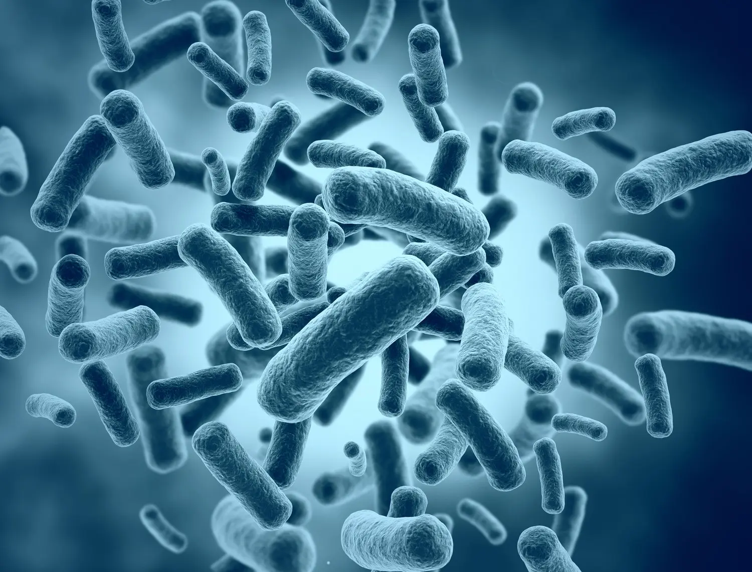 Уникальная защита Vibrio cholerae WASA помогает бактериям противостоять вирусу ICP1-0