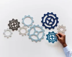 Инновационный материал от ИХТТМ СО РАН и НАН Беларуси стал успехом команды Татьяны Григорьевой innovaczionnyj material ot ihttm so ran i nan belarusi stal uspehom komandy tatyany grigorevoj-signaldaily-ru-0