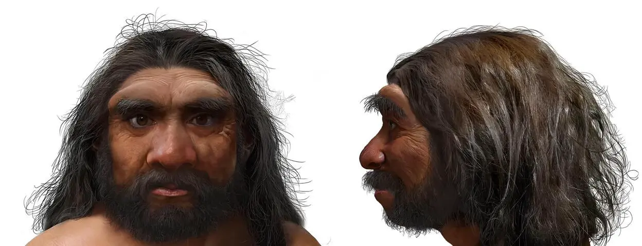 Homo longi из Харбина оказался близким к неандертальцам с новыми открытиями-0