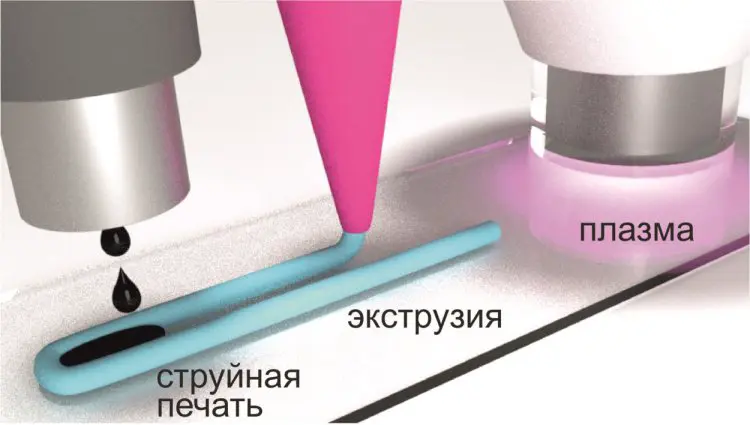 scientificrussia.ru