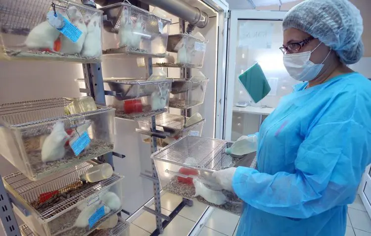 scientificrussia.ru
