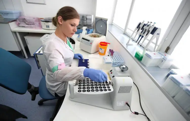 scientificrussia.ru