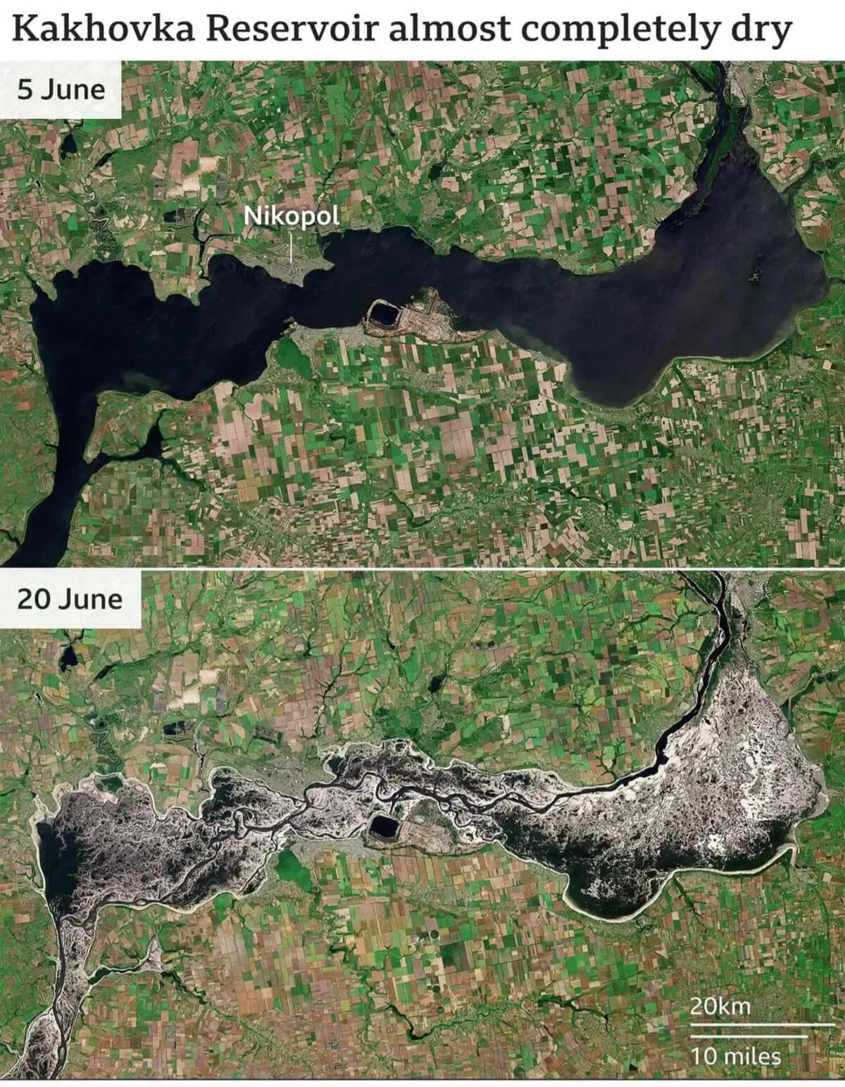 Днепр возродился, осетр вернулся, а Каховское водохранилище ожило-0