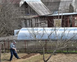 kulinarnye sovety yaroslava istomina iz dlya zaversheniya dachnogo sezona-signaldaily-ru-0