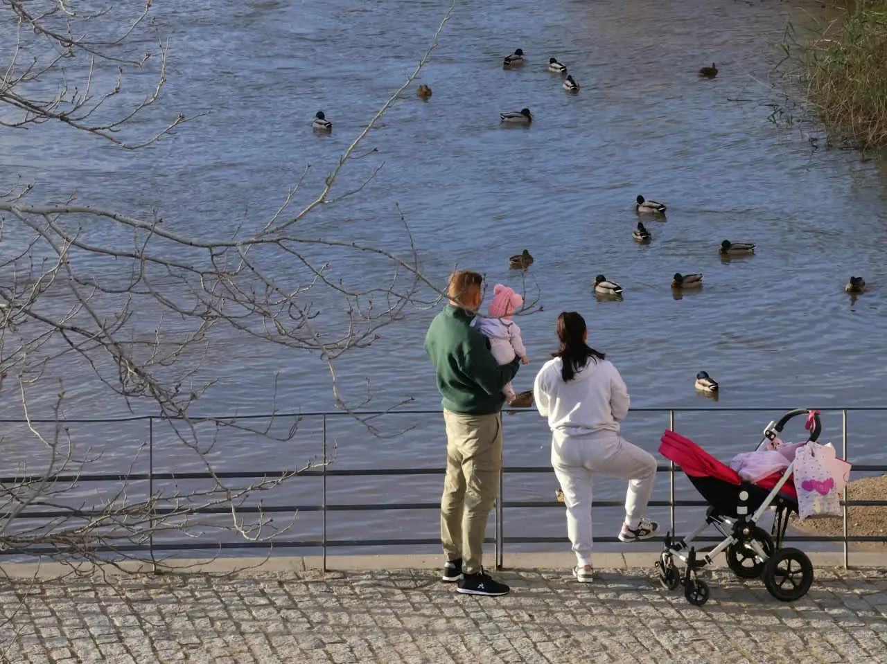 Агнешка Желязневич и Вроцлавский университет о переменах в чувствах пар-0