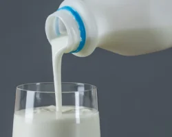 Андрей Тяжельников объяснил, как кефир и вакцинация поддерживают иммунитет в сезон ОРВИ andrej tyazhelnikov obyasnil kak kefir i vakczinacziya podderzhivayut immunitet v sezon orvi-signaldaily-ru-0