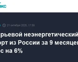 Антон Алиханов сообщает о росте экспорта России в Китай, Турцию и Индию anton alihanov soobshhaet o roste eksporta rossii v kitaj turcziyu i indiyu-signaldaily-ru-0