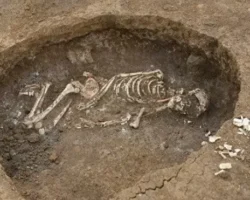 arheologi dgtu obnaruzhili 25 zahoronenij v azovskom rajone-signaldaily-ru-0