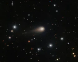 Ави Леб и загадка 3I/ATLAS вызывают споры у Гарварда и NASA avi leb i zagadka 3 vyzyvayut spory u garvarda i -signaldaily-ru-0