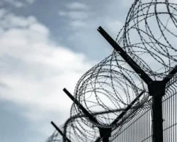 Автомобилист из Кургана отправляется в колонию после ДТП с погибшей женщиной avtomobilist iz kurgana otpravlyaetsya v koloniyu posle dtp s pogibshej zhenshhinoj-signaldaily-ru-0