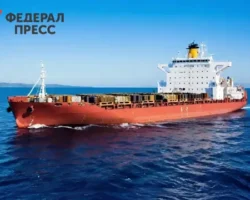 donald tramp i kitaj zanimayut czentralnye poziczii v mirovoj energetike po versii fneb-signaldaily-ru-0