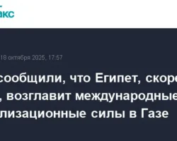 Египет возглавит силы в Газе? Напряженная схватка за мир с ХАМАС и Израилем egipet vozglavit sily v gaze napryazhennaya shvatka za mir s hamas i izrailem-signaldaily-ru-0