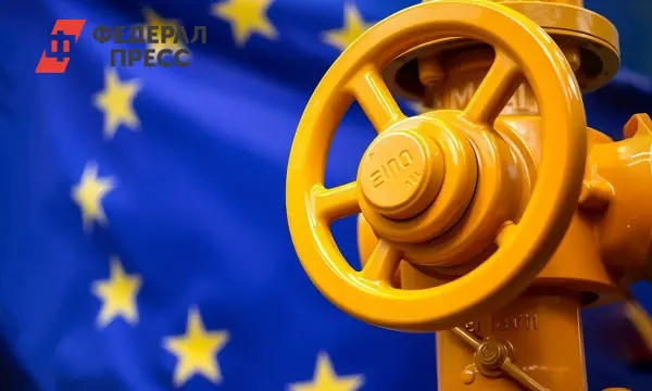 ЕС и Германия продолжают поддерживать российский газовый сектор несмотря на санкции-0
