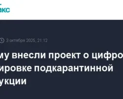 Госдума одобряет цифровую маркировку для защиты рынка ЕАЭС от рисков gosduma odobryaet czifrovuyu markirovku dlya zashhity rynka eaes ot riskov-signaldaily-ru-0