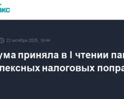 gosduma utverdila znachitelnye popravki v nalogovyj kodeks kasayushhiesya nds akczizov i ndfl-signaldaily-ru-0