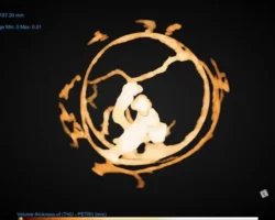 Исследование Бристольского университета показывает, как муравьи строят гнёзда для борьбы с эпидемиями issledovanie bristolskogo universiteta pokazyvaet kak muravi stroyat gnyozda dlya borby s epidemiyami-signaldaily-ru-0