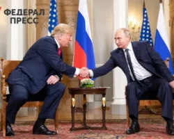 Кирилл Дмитриев из РФПИ уверен, что встреча Путина и Трампа состоится kirill dmitriev iz rfpi uveren chto vstrecha putina i trampa sostoitsya-signaldaily-ru-0